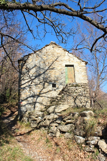 Alpesisa (GE)